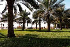 Jumeirah Village Triangle Jumeirah Village Triangle