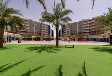 Al Reef Al Reef