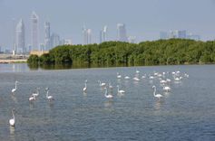 Ras Al Khor Ras Al Khor